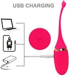 Vibrating Remote Control Kegel Egg USB Rechargeable