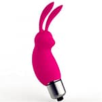 Naughty Bunny Pocket Vibe