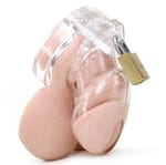 Short Penis Chastity Device With 5 Size Penis Ring
